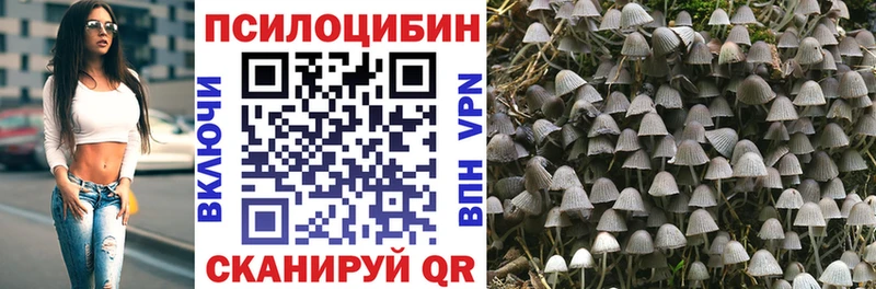 что такое наркотик  Костерёво  Галлюциногенные грибы GOLDEN TEACHER 